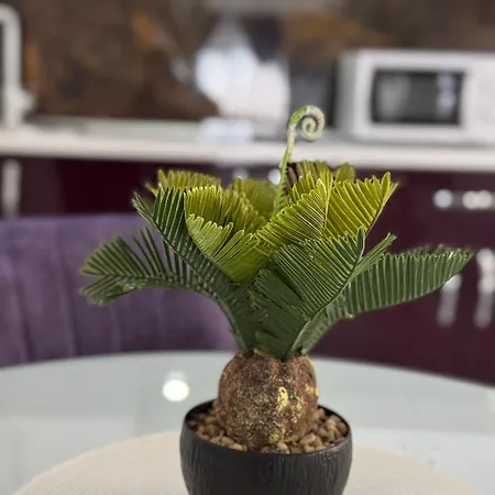 Relax House Aparthotel