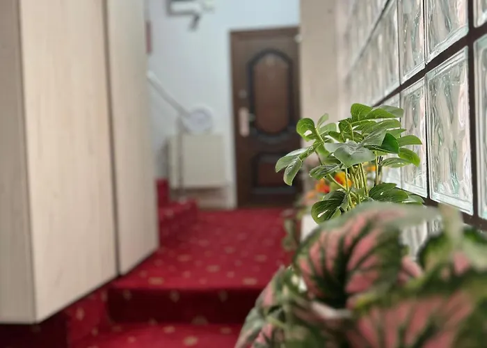 Relax House 公寓式酒店 克拉奥华