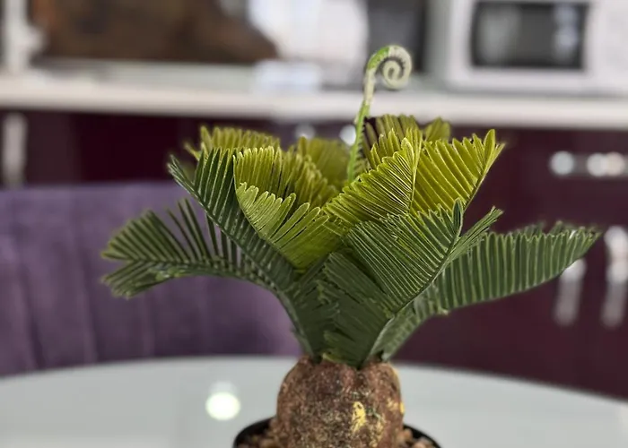 Relax House 公寓式酒店